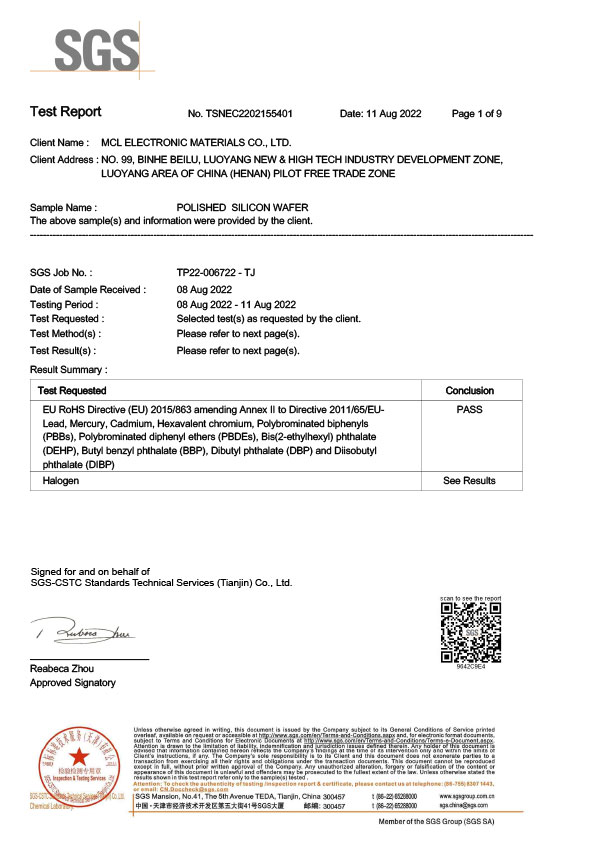 SGS Test Report