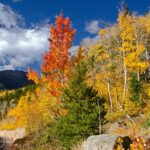 Things to Do For Kids in Rocky Mountain National Park Colorado