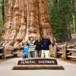 Things to Do For Kids in Sequoia National Park California